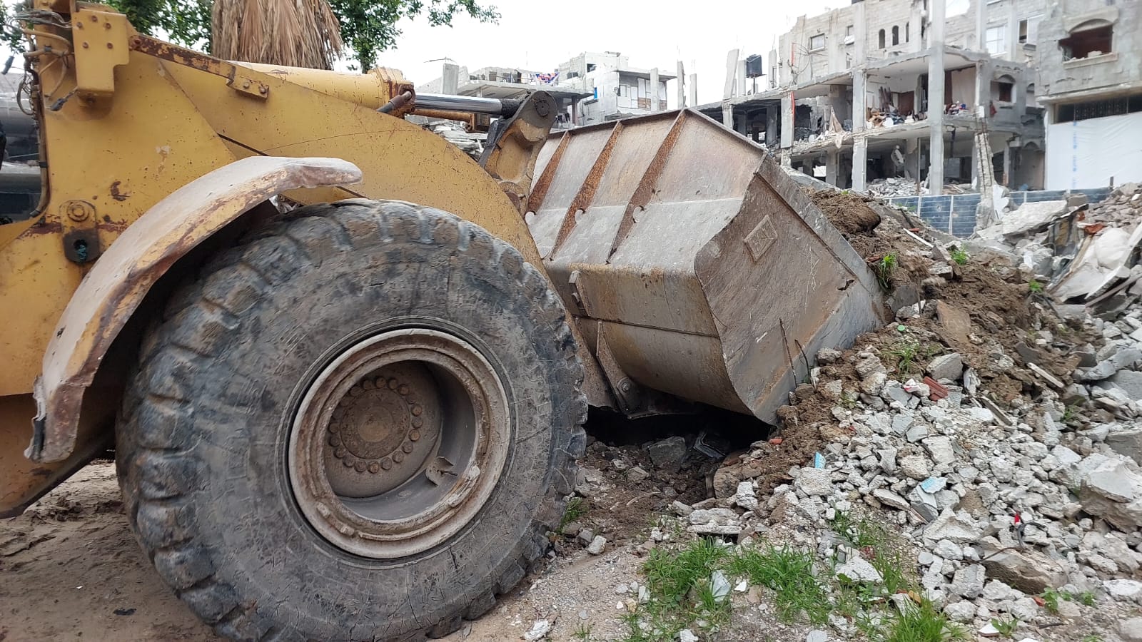 فتح وإزالة الركام من شارع الصفطاوي وحي البشرى